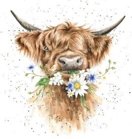 Wrendale Design Cards-Daisy Coo Single Card