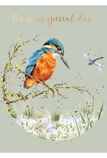 Wrendale Design Cards-Birthday 'Pond Dipping' Kingfisher Gold Foiled