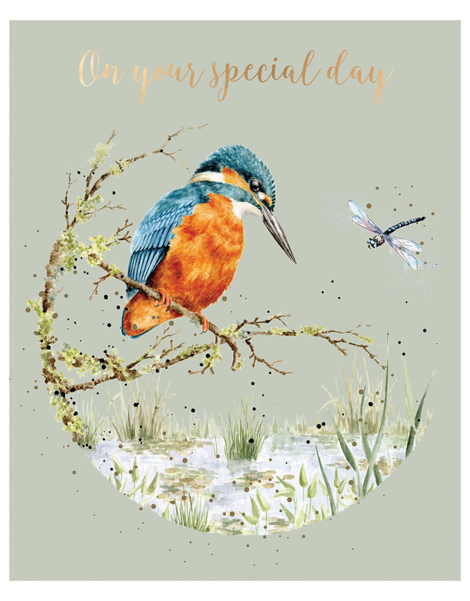 Wrendale Design Cards-Birthday 'Pond Dipping' Kingfisher Gold Foiled