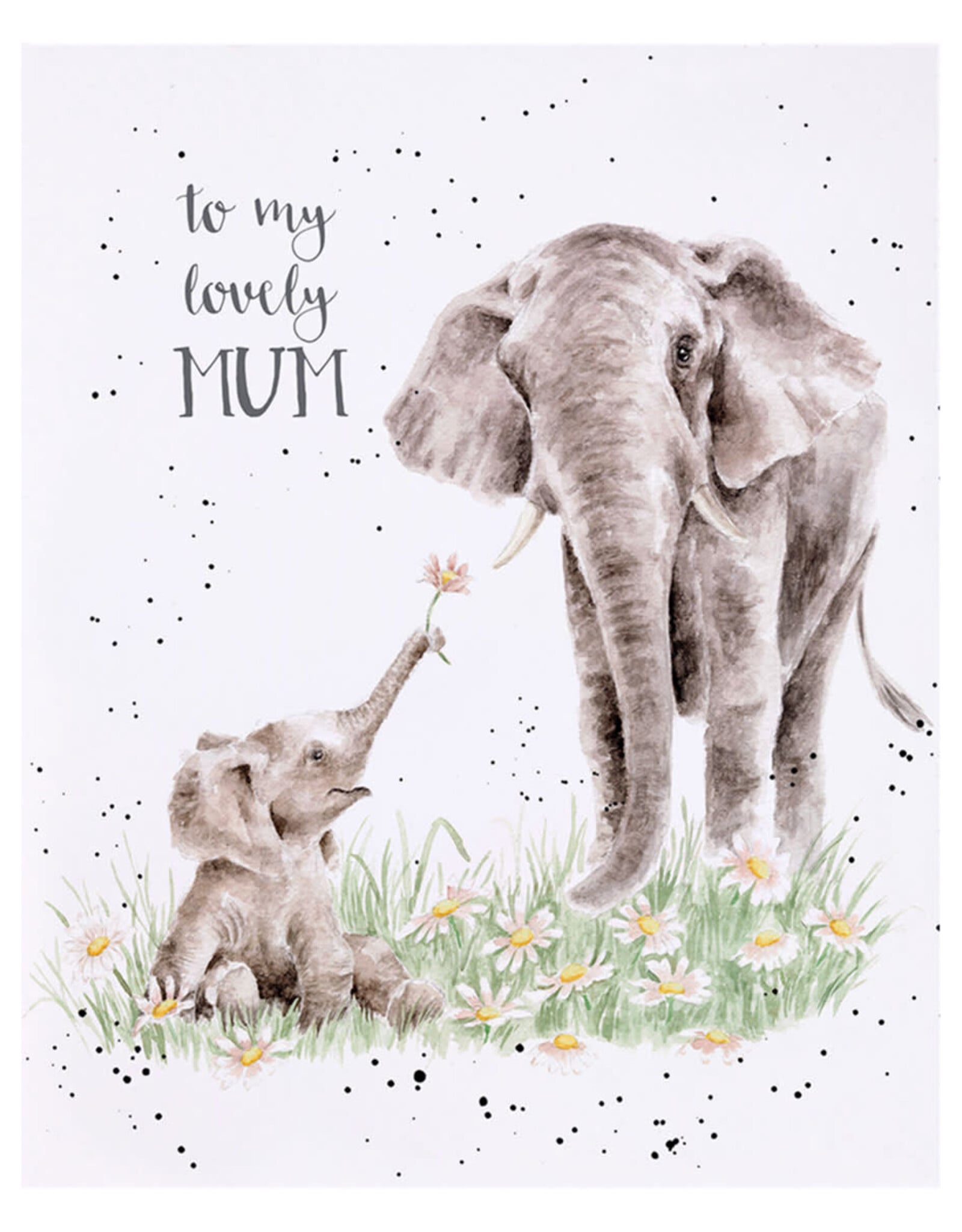 Wrendale Design Cards-Bloom and Grow Gift Card Enclosure