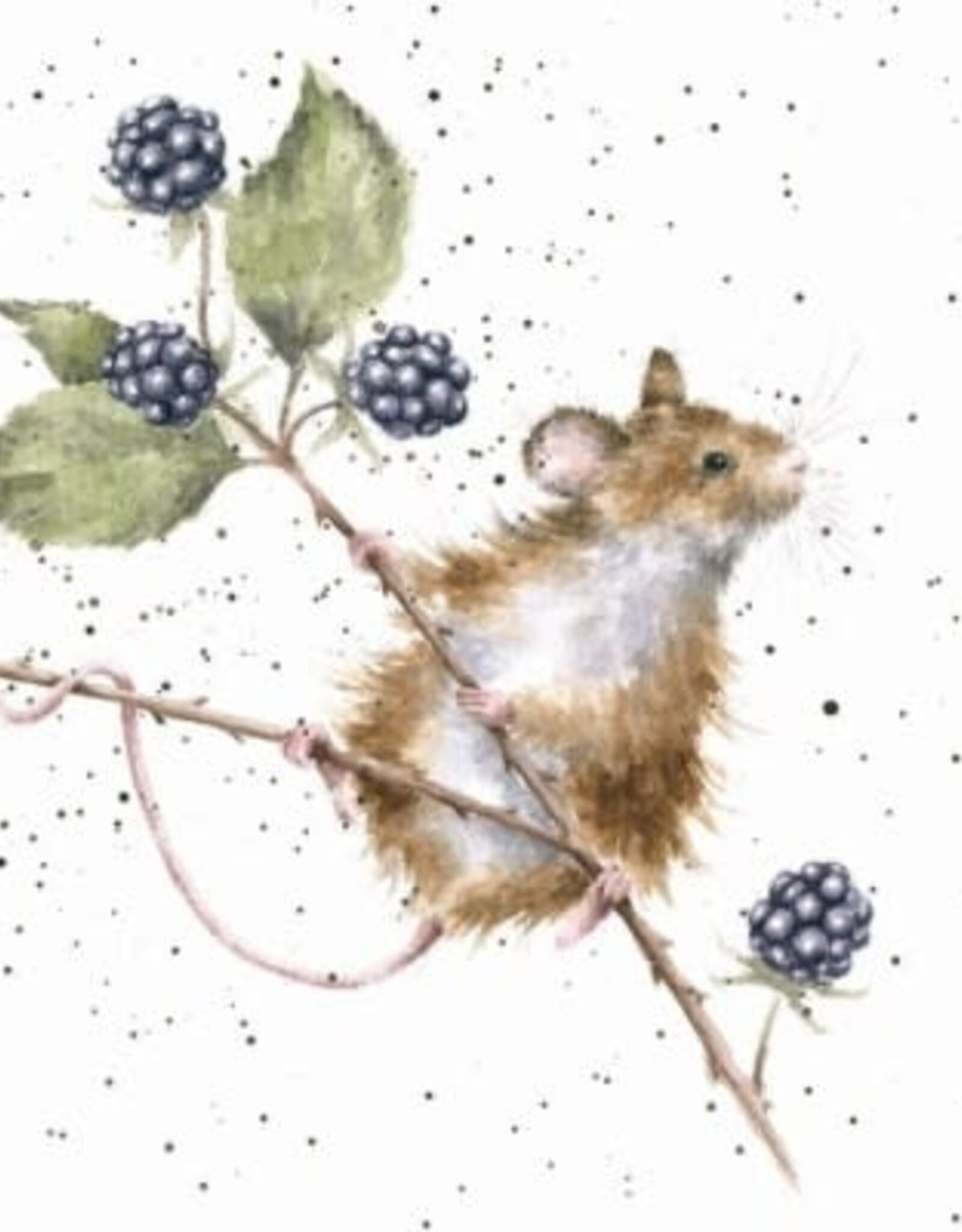 Wrendale Design Cards-Brambles Gift Card Enclosure