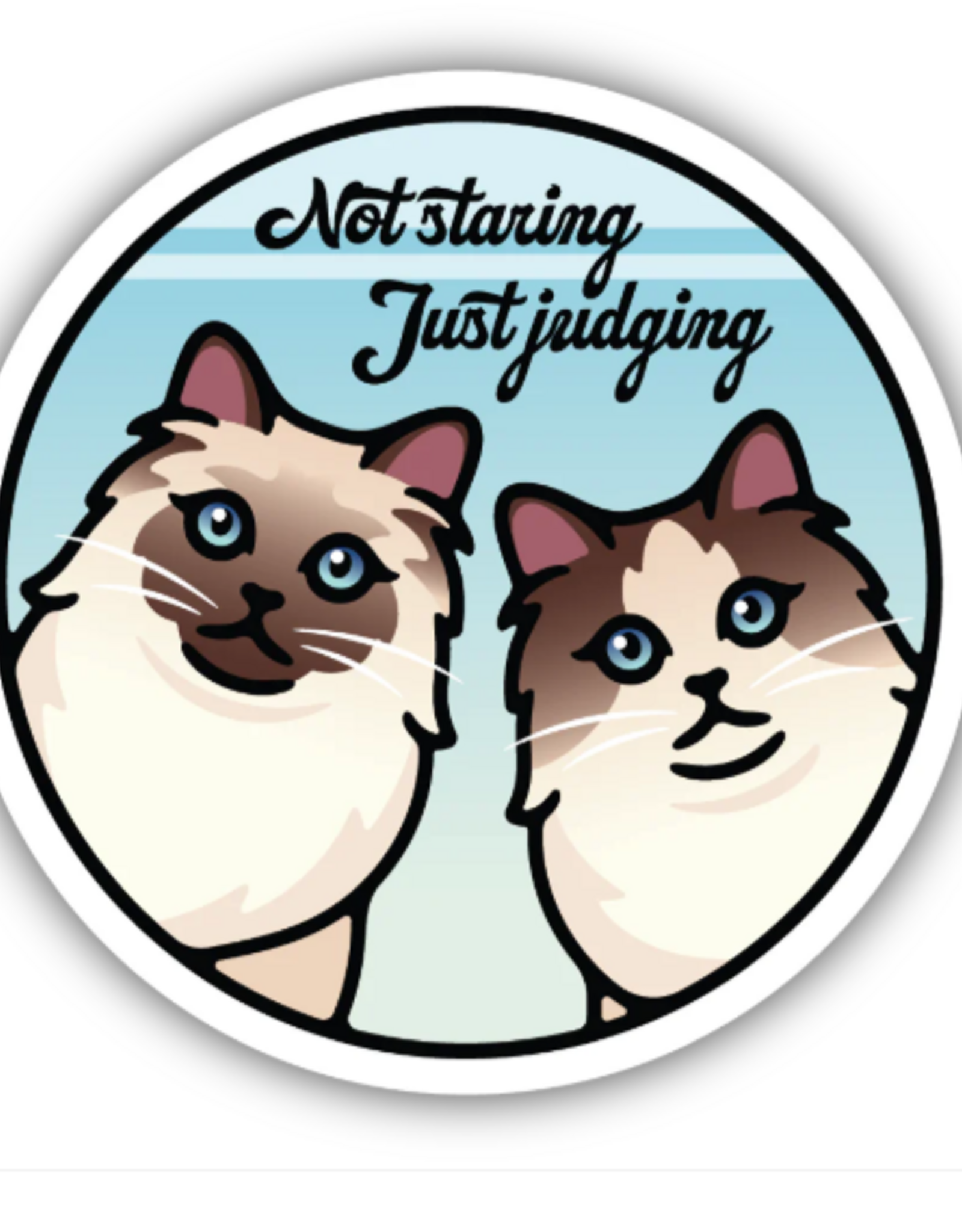 Stickers NW NOT STARING JUST JUDGING CATS STICKER
