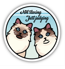 Stickers NW NOT STARING JUST JUDGING CATS STICKER
