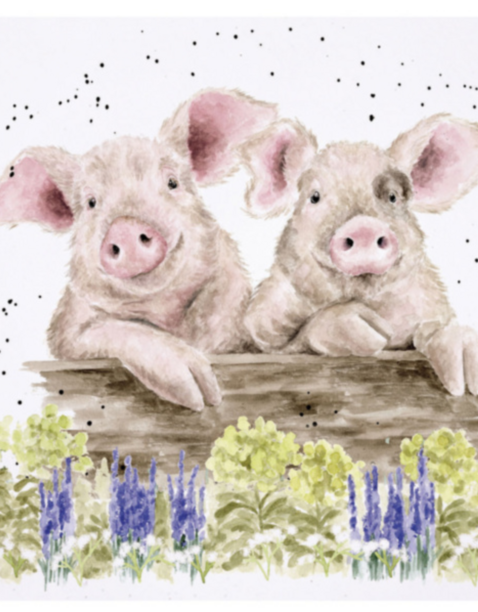 Wrendale Design Cards-Nosy Neighboars Gift Card Enclosure