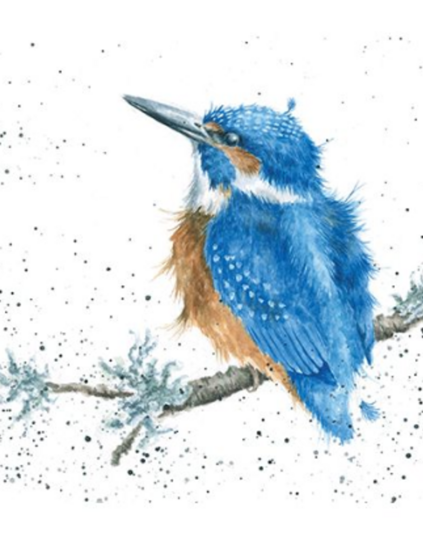 Wrendale Design Cards-King of the River Gift Card Enclosure