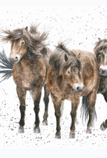 Wrendale Design Cards-Three Amigos Single Card