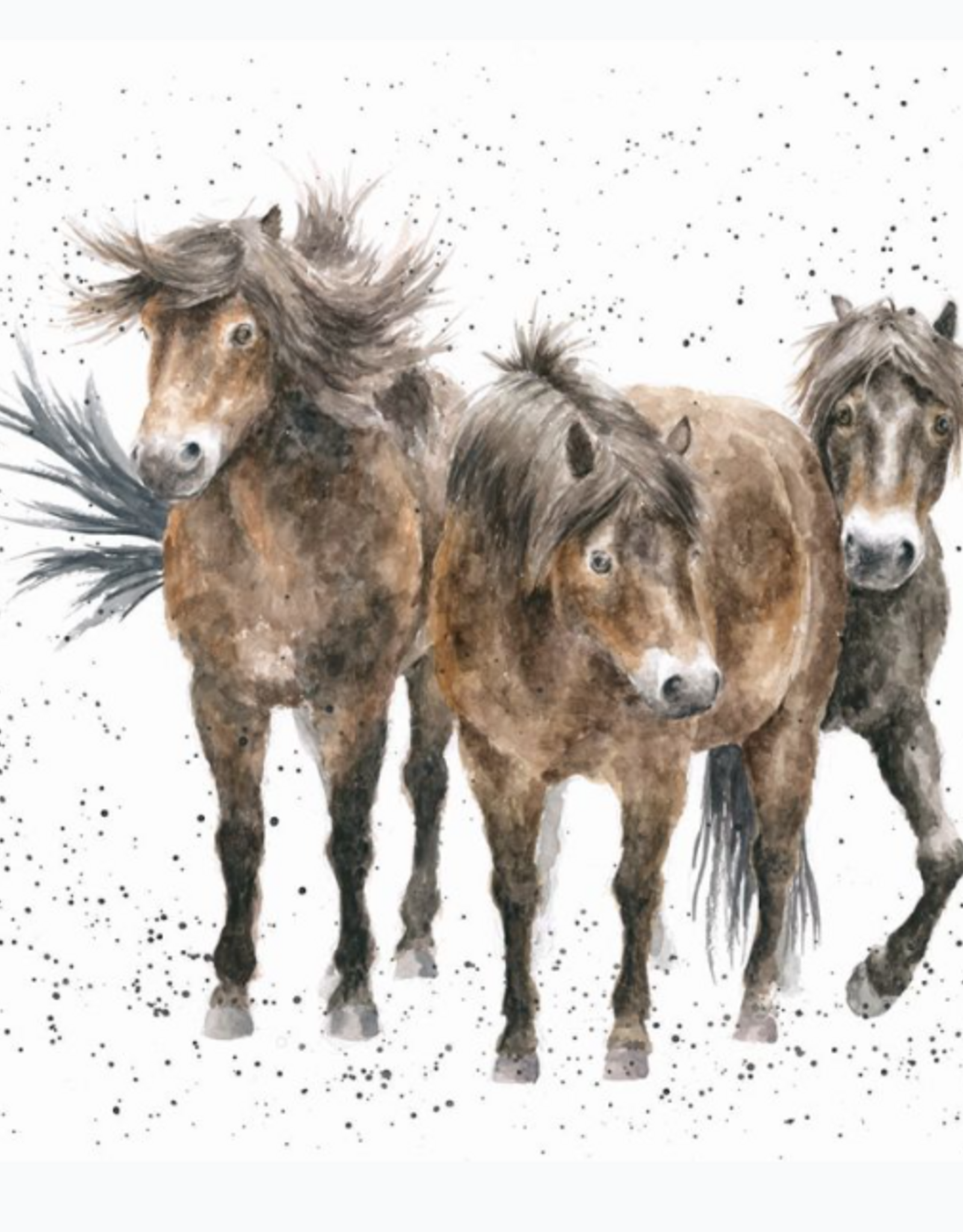 Wrendale Design Cards-Three Amigos Single Card