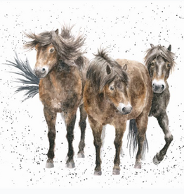 Wrendale Design Cards-Three Amigos Single Card