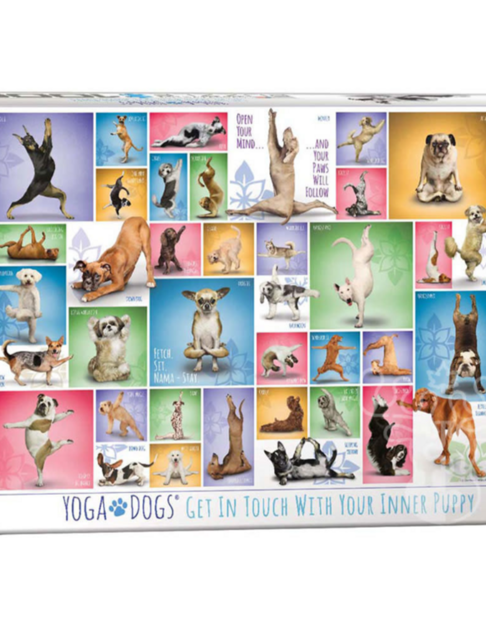 Eurographics Yoga Dogs 1000pc
