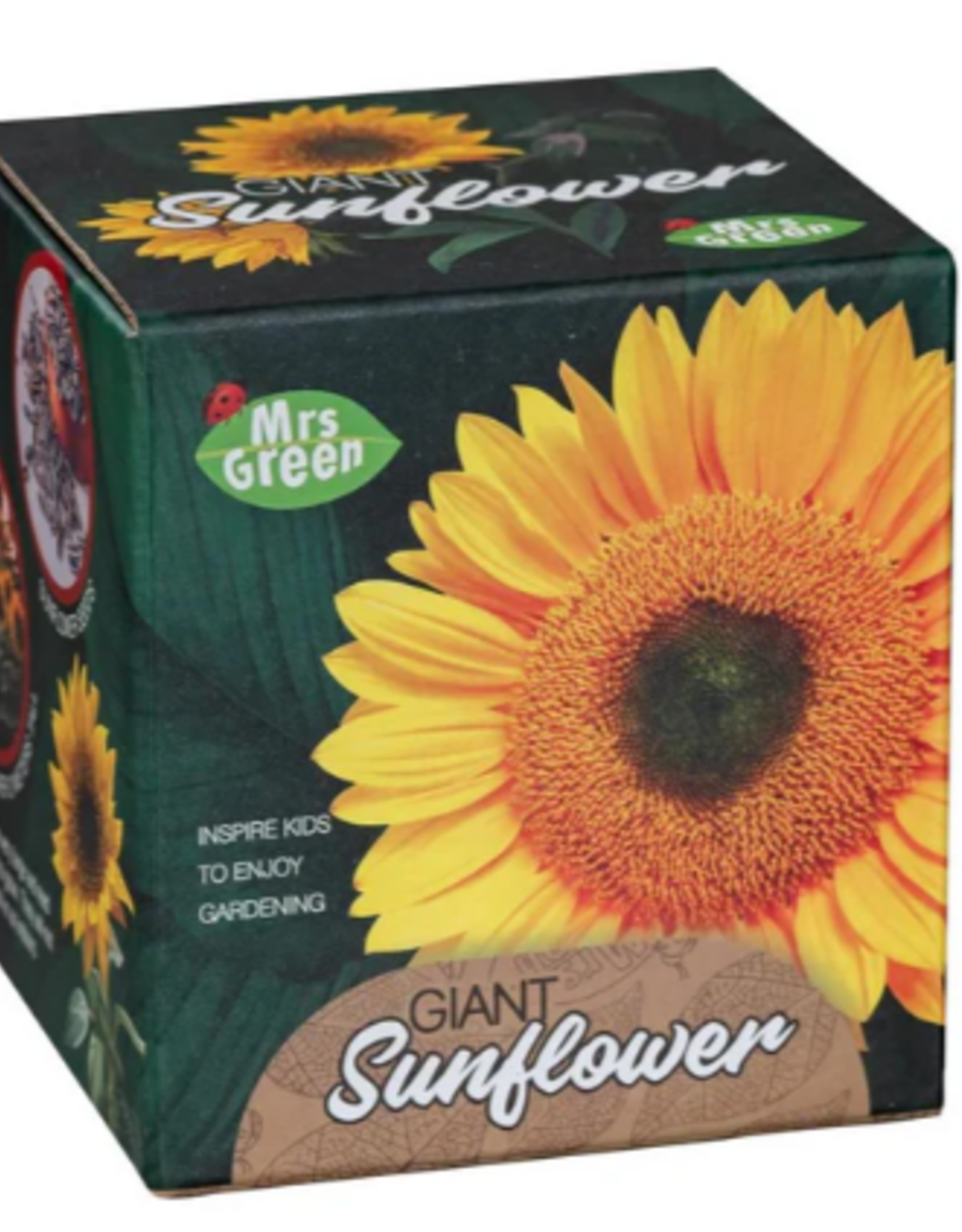 Mrs. Green Giant Sunflower