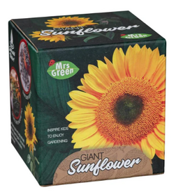 Mrs. Green Giant Sunflower