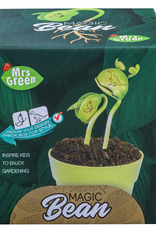 Mrs. Green Magic Bean