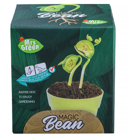 Mrs. Green Magic Bean