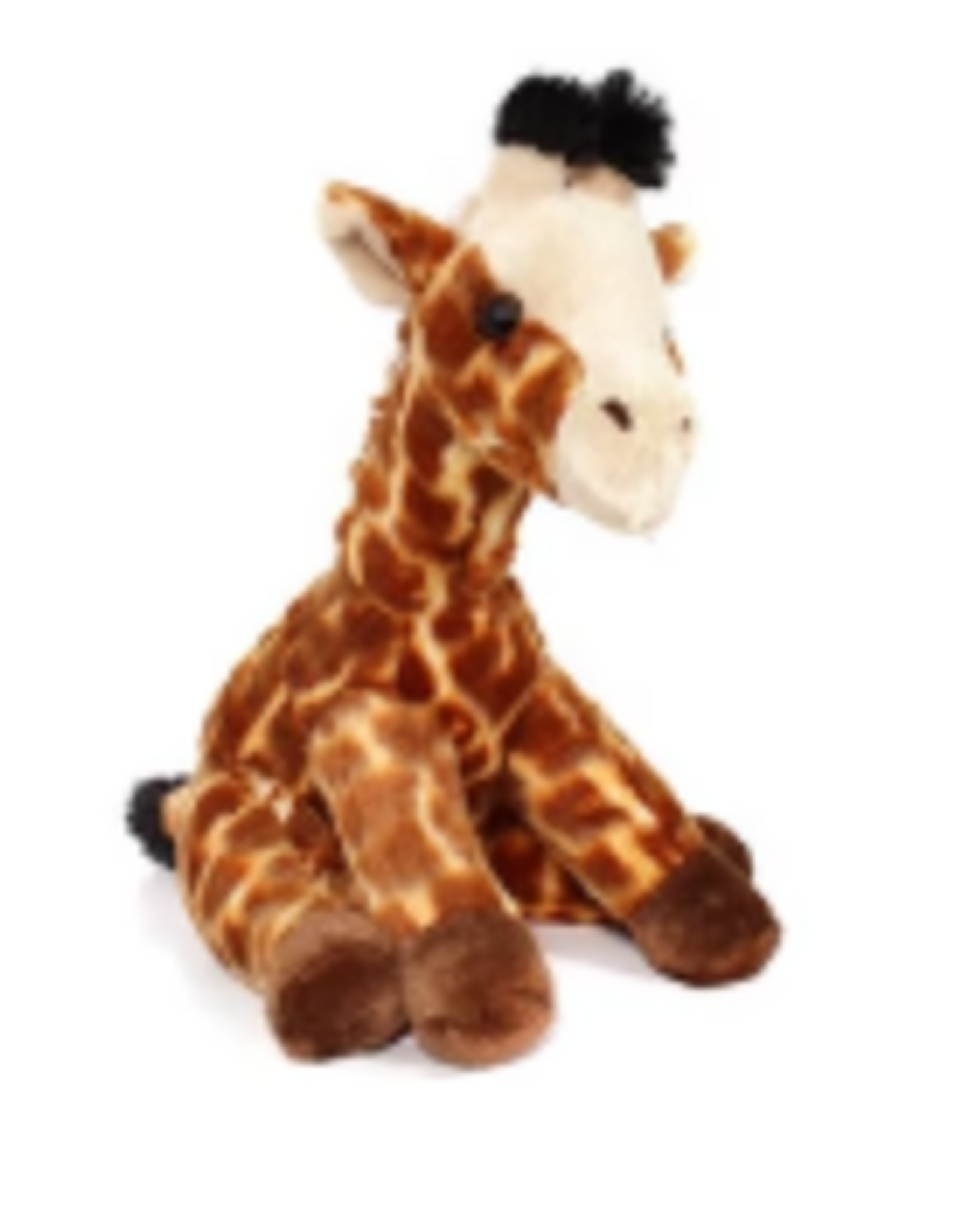 Aurora DESTINATION NATION-Giraffe 15