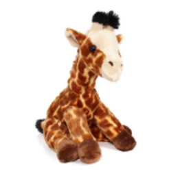 Aurora DESTINATION NATION-Giraffe 15