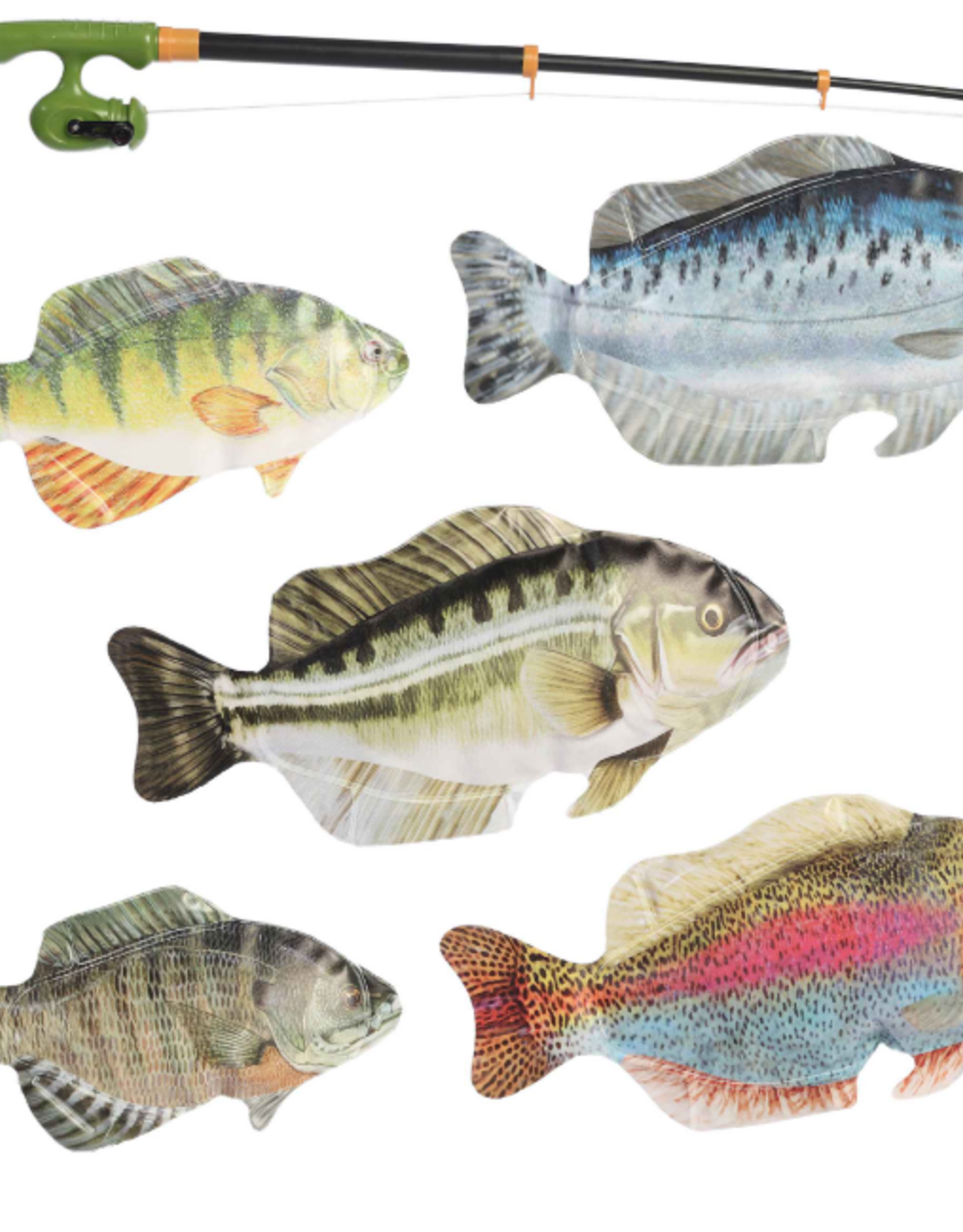 Aurora Big Fish Game