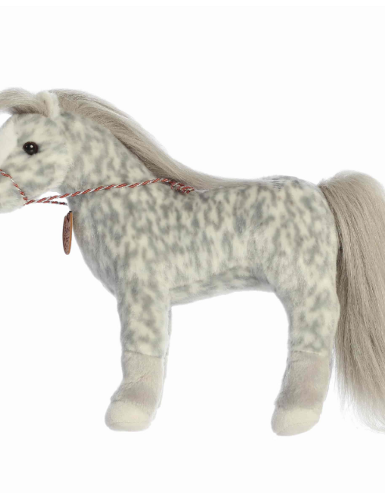 Aurora BREYER - SHOWSTOPPERS-Dapple Gry Trakehner