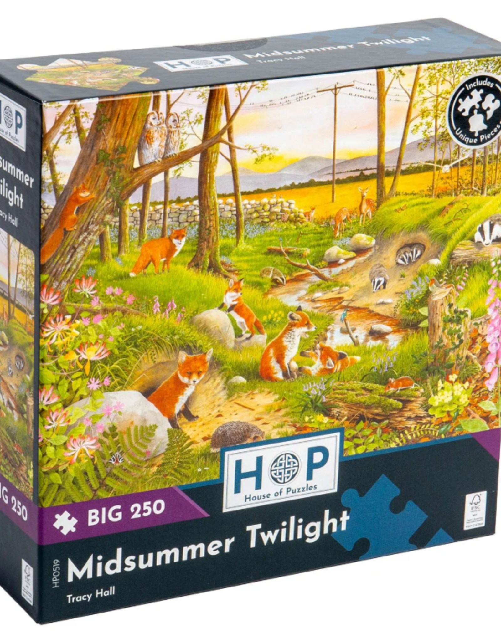 HOP House Of Puzzles Midsummer Twilight BIG 250