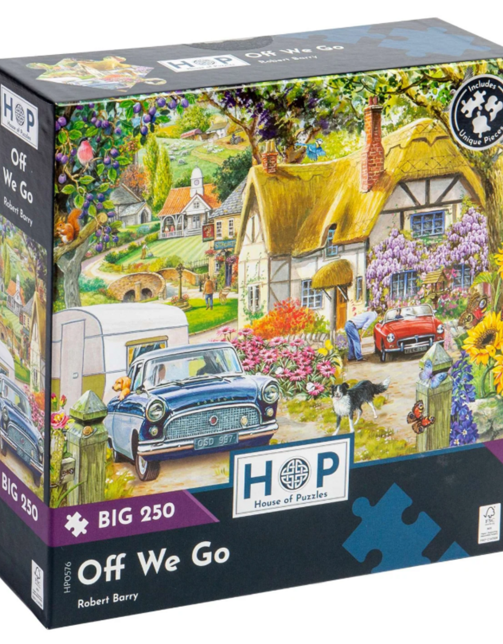 HOP House Of Puzzles Off We Go BIG 250