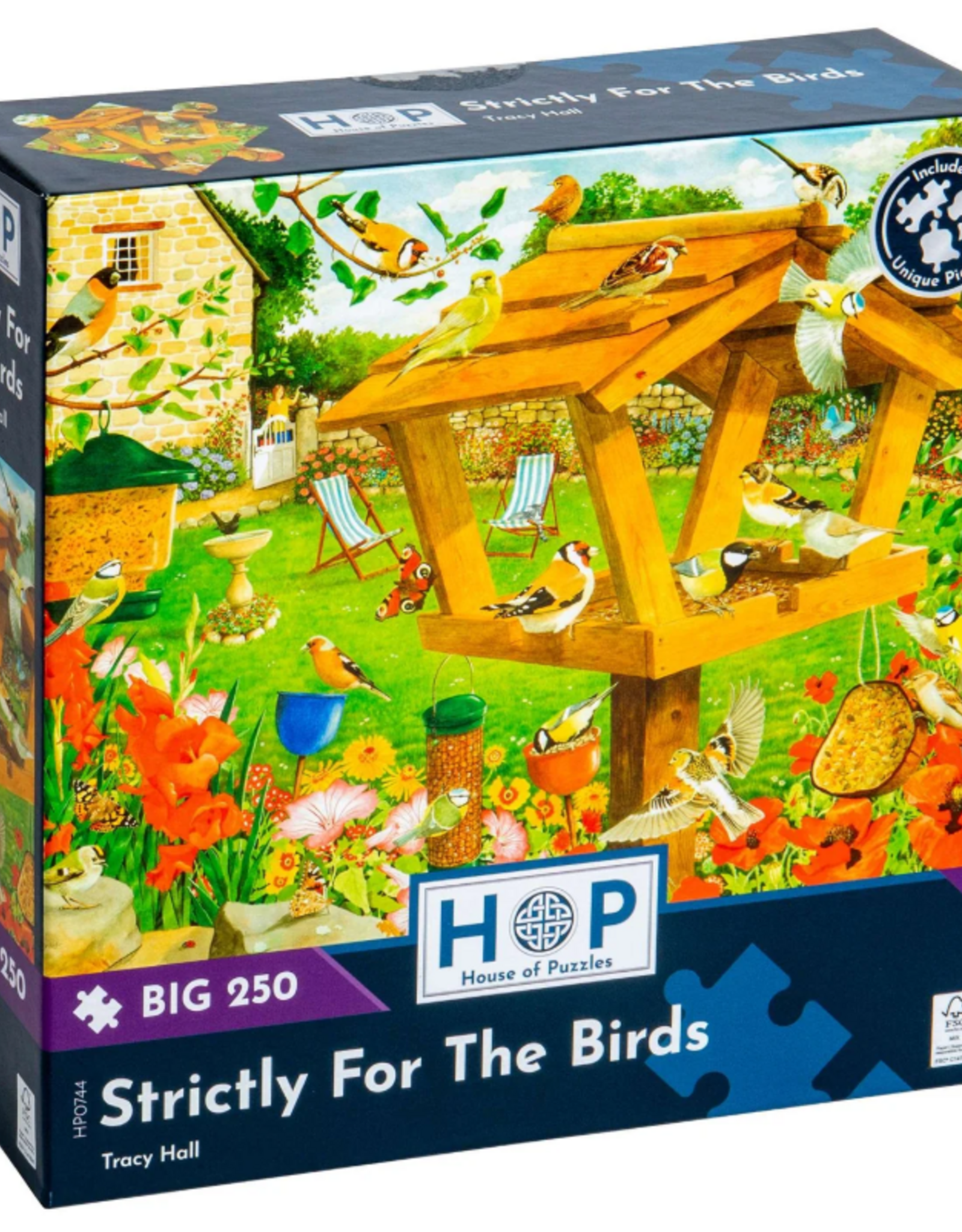 HOP House Of Puzzles Strictly For The Birds BIG 250
