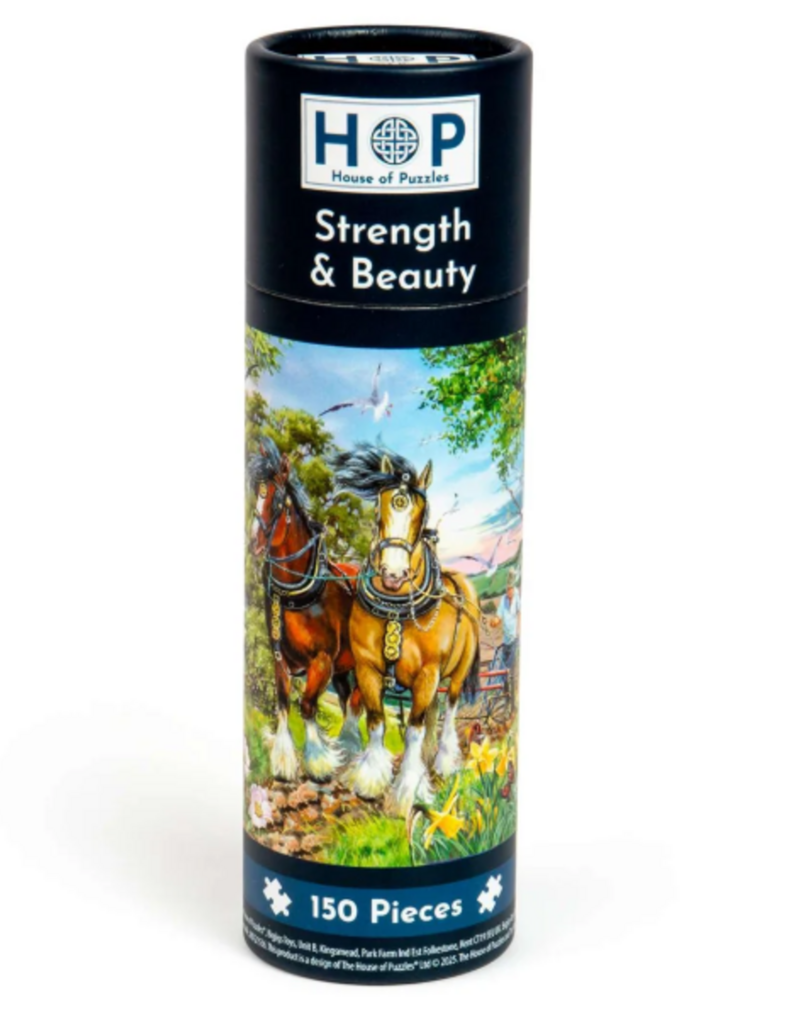 HOP House Of Puzzles Strength & Beauty 150Pc Tube