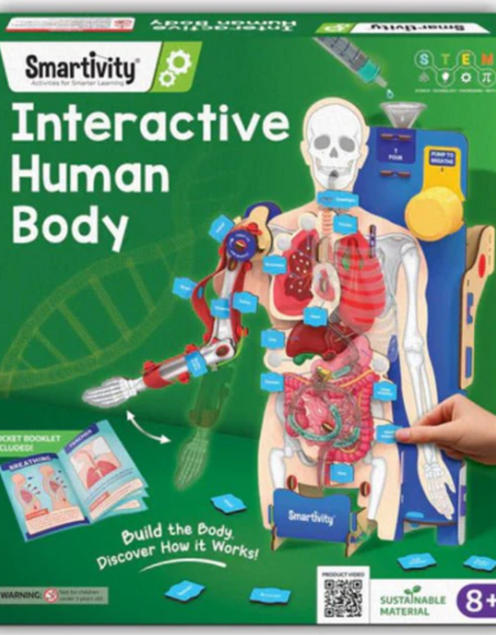 Smartivity Interactive Human Body