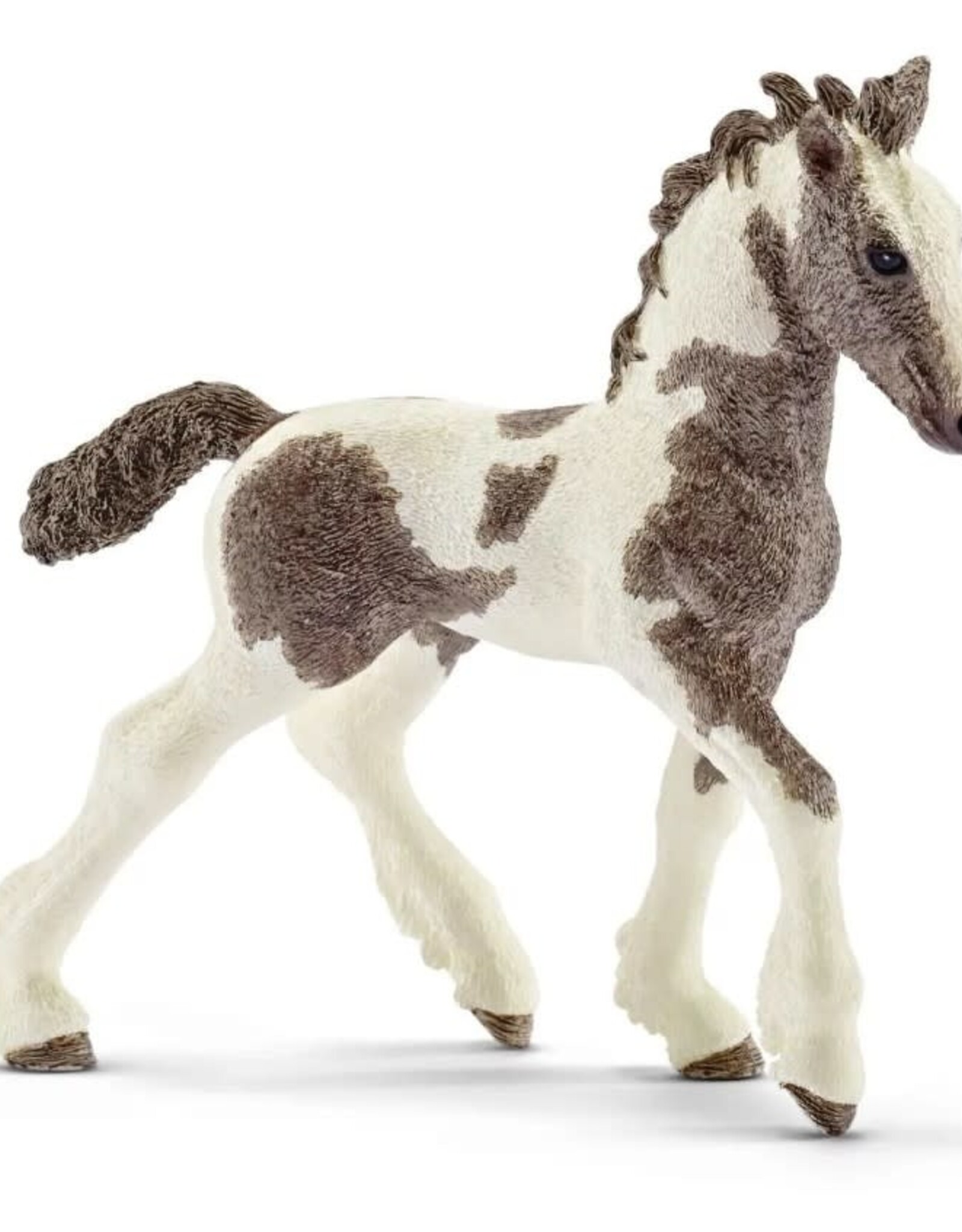 Schleich Tinker foal 13774