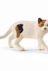 Schleich American Shorthair Cat 13894