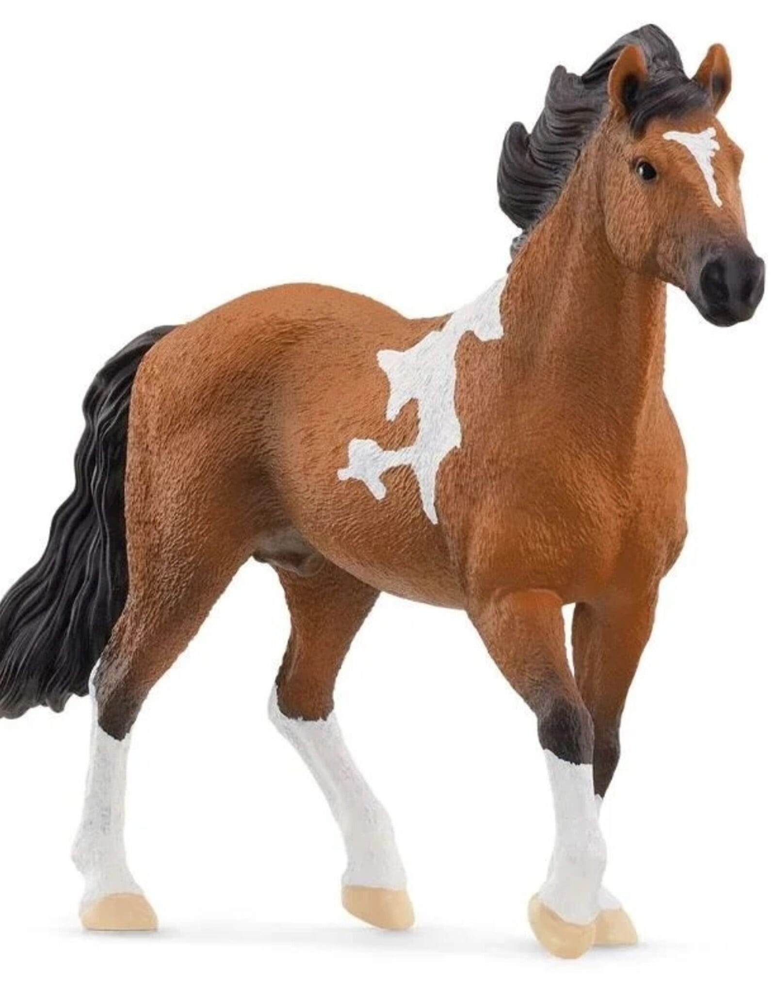 Schleich Mangalarga Marchador Stallion 13978