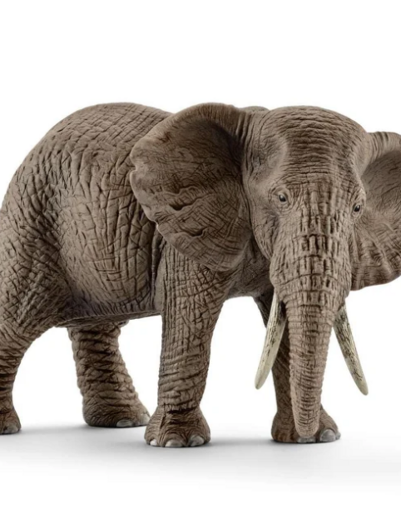 Schleich African elephant, female 14761