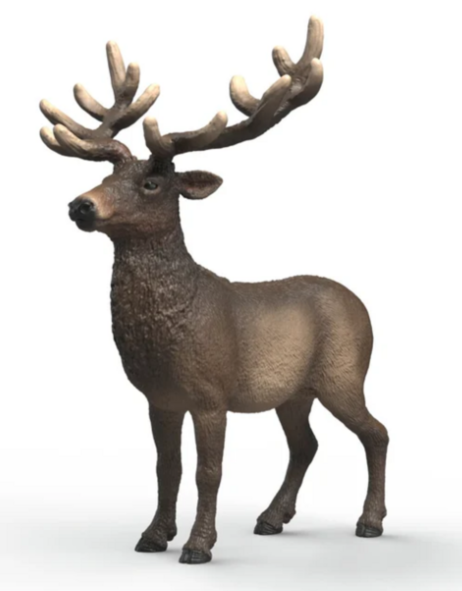 Schleich Elk 14992
