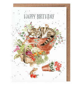 Wrendale Design Card - Birthday 'Purrrfect Birthday' Cat Single Card