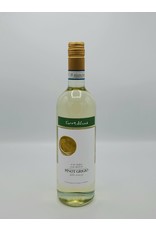 Torre di Luna Delle Venezie Pinot Grigio 2021