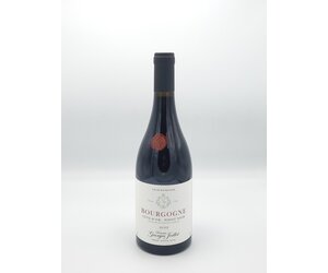 Jean-Luc Joillot Bourgogne Pinot Noir Côte d'Or 2022 - MF Chappell