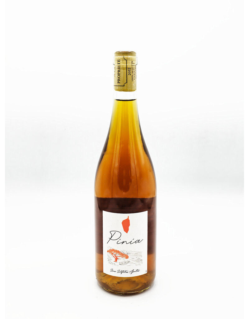 Pinia Corsican White Vin de France 2021