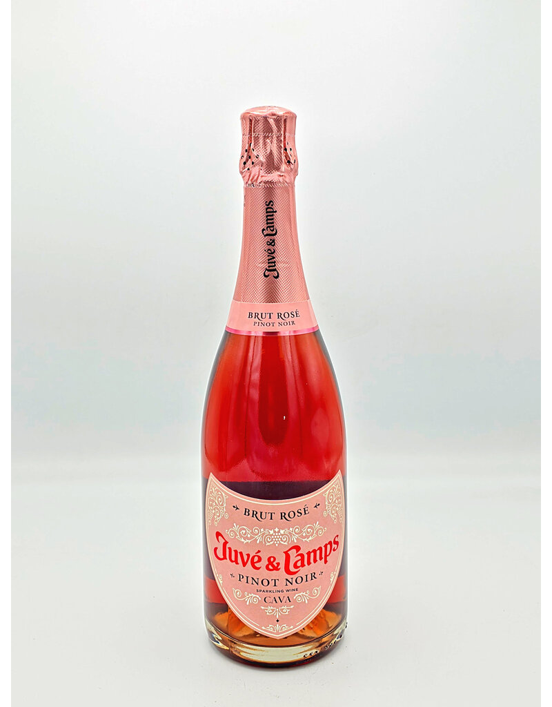 Juvé y Camps Cava Pinot Noir Brut Rosé NV
