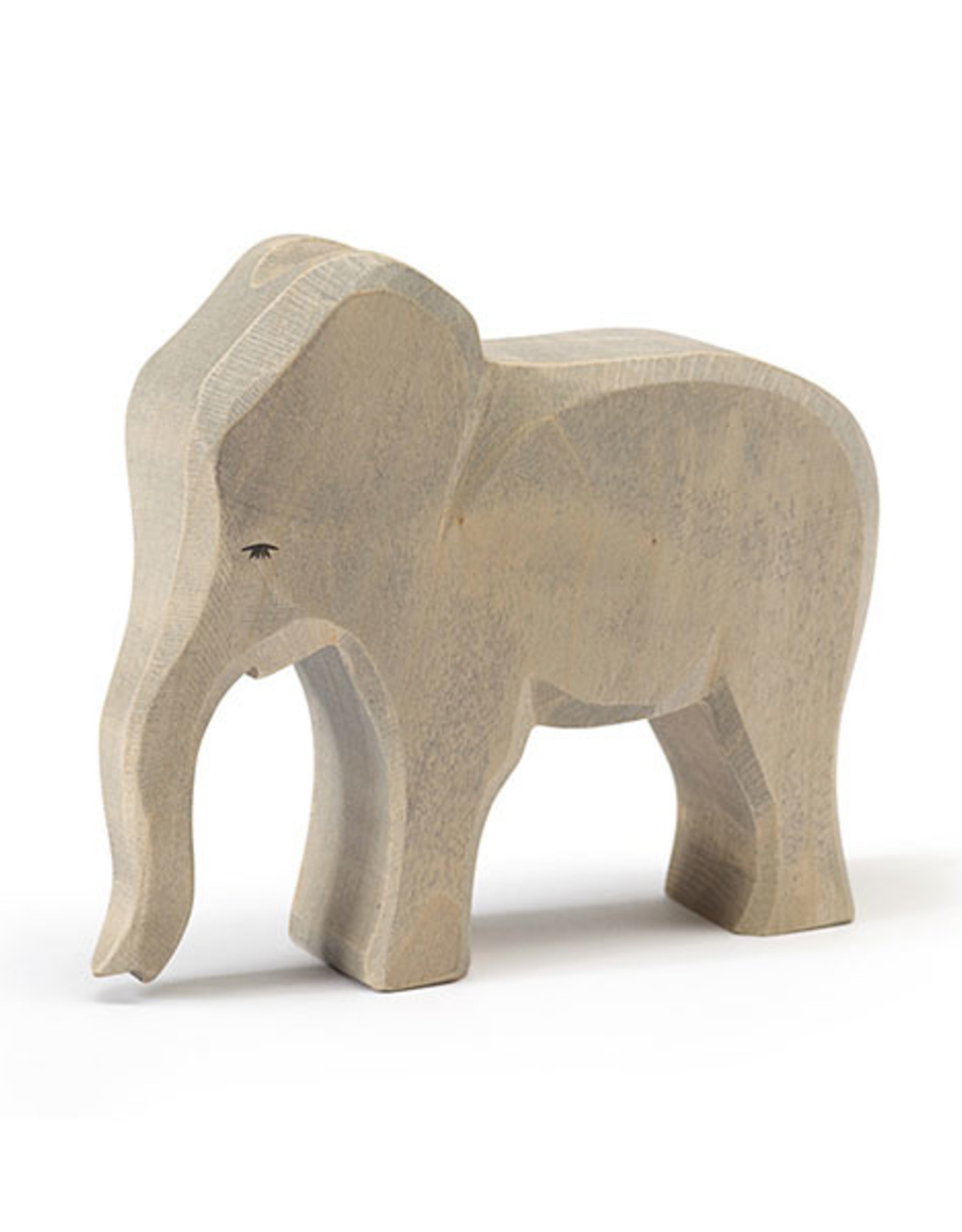 Ostheimer Elephant Cow