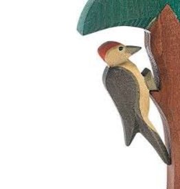 Ostheimer Woodpecker