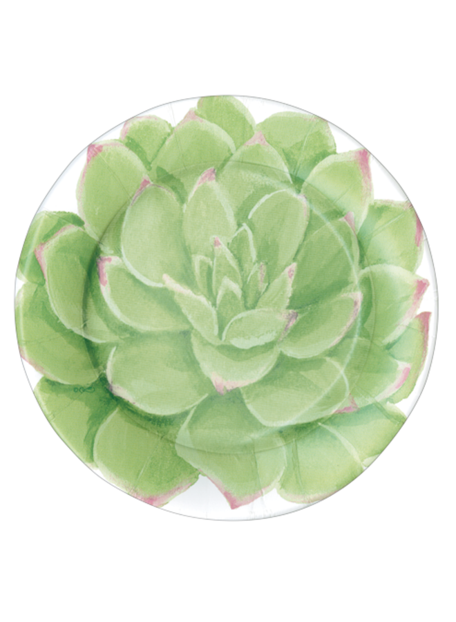 Succulents Paper Salad & Dessert Plates - 8 Per Package