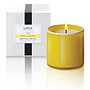 Classic White Grapefruit Candle 6.5oz