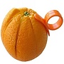 Citrus Peeler Ring