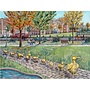 8x10 Print of Boston Public Garden Ducklings