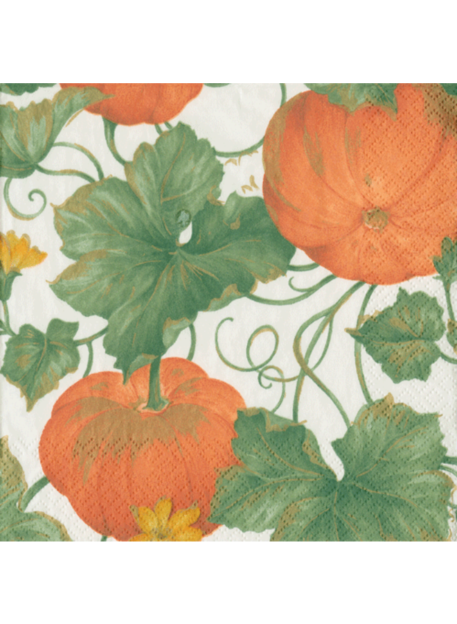 Heirloom Pumpkin Paper Cocktail Napkins in Moss Green - 20 Per Package