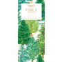 Christmas Trees With Lights Tissue Pkg 4 Sheets