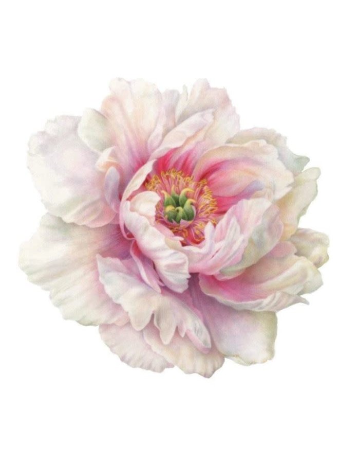 White Peony Die-Cut Placemat - 1 Per Package