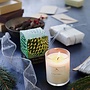 Roland Pine Small Votive Soy Candle 2.4 oz