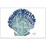 Scallop Shell Placemat