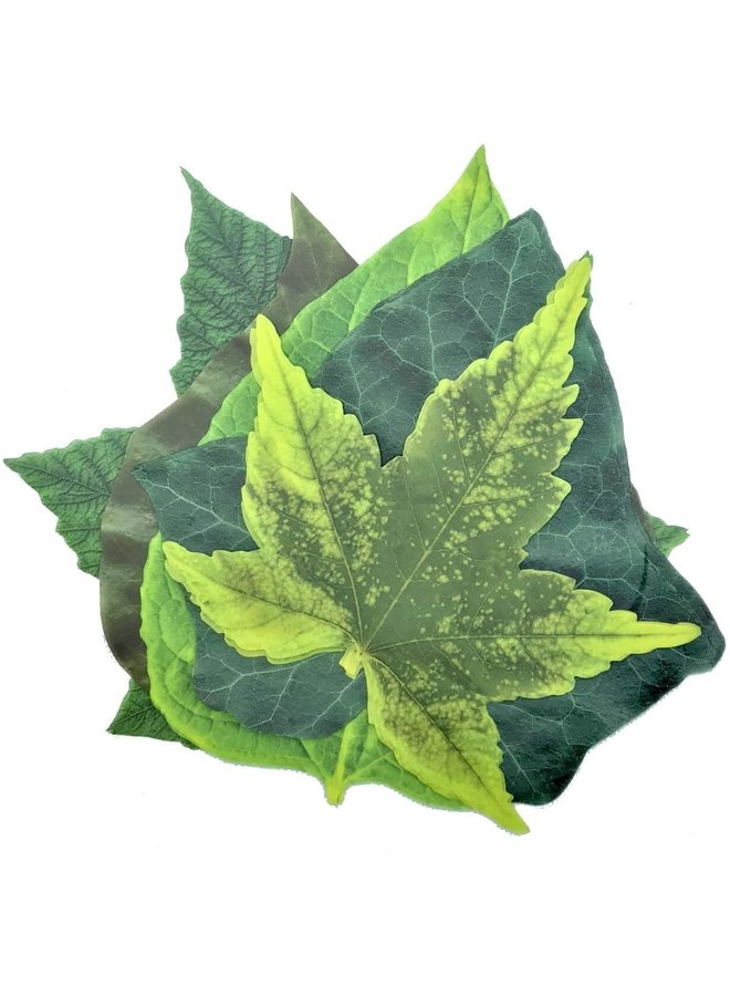 Parchment Cheese Leaves – Spring Leaves Variety Pack of 20