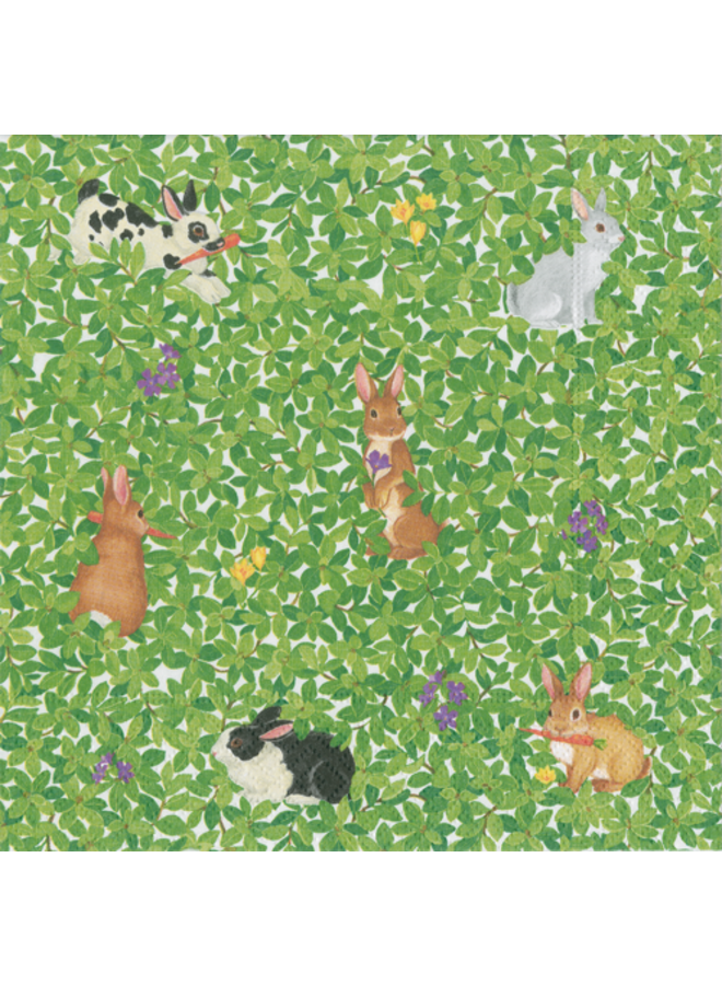 Bunnies and Boxwood Paper Cocktail Napkins - 20 Per Package