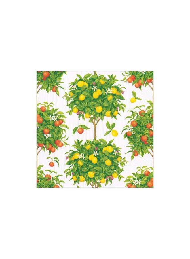 Citrus Topiaries Paper Cocktail Napkins in White - 20 Per Package
